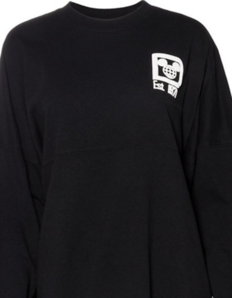 Disneyworld Spirit Jersey